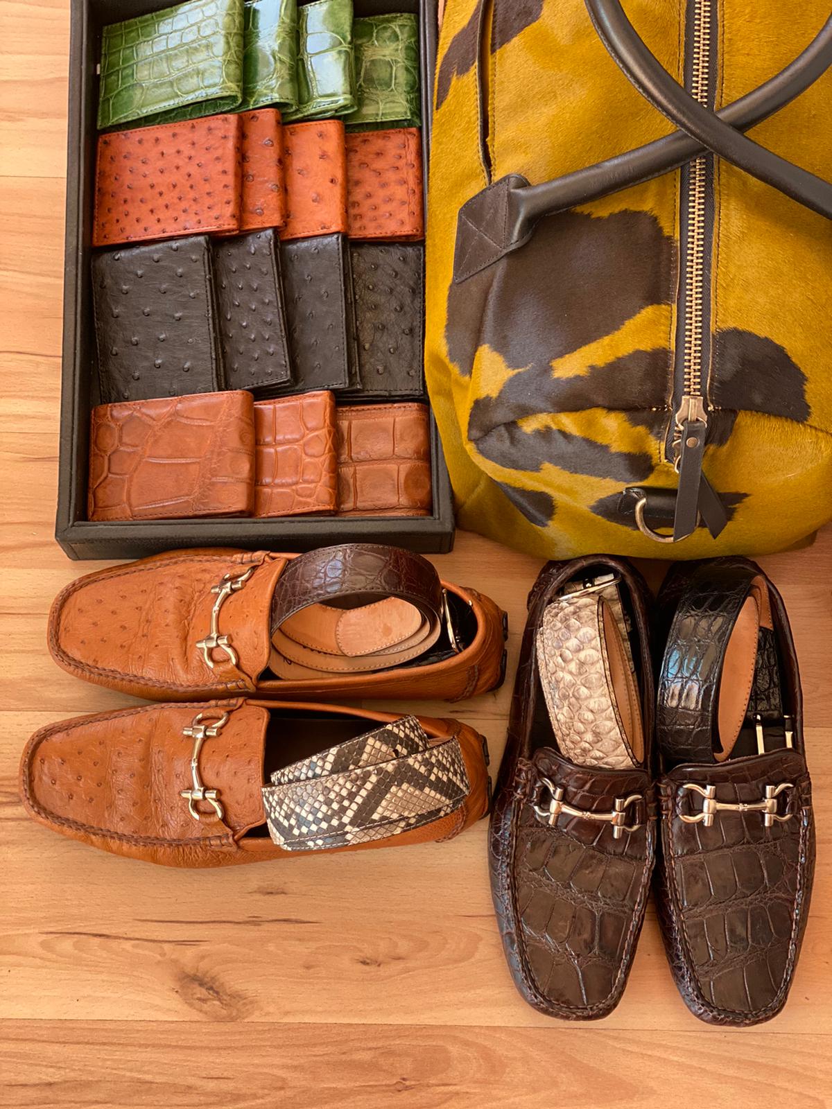 The Glades Belt - Python