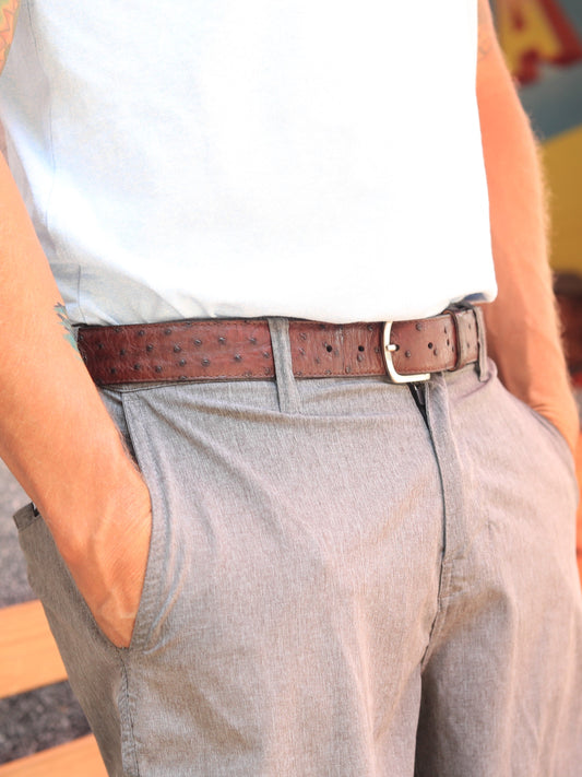 The Glades Belt - Ostrich