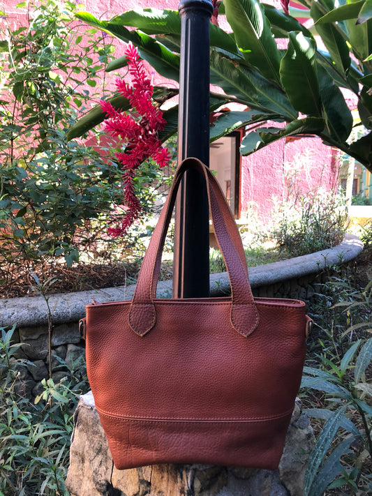 The Mini Texas Tote