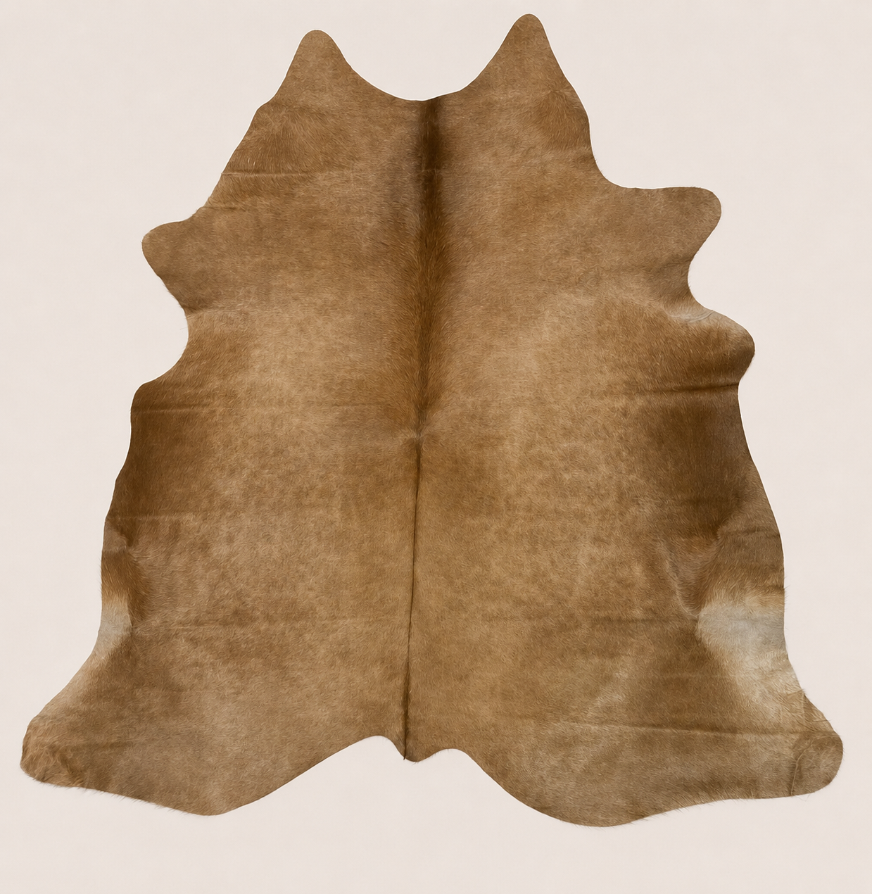 The Ranchero Rug