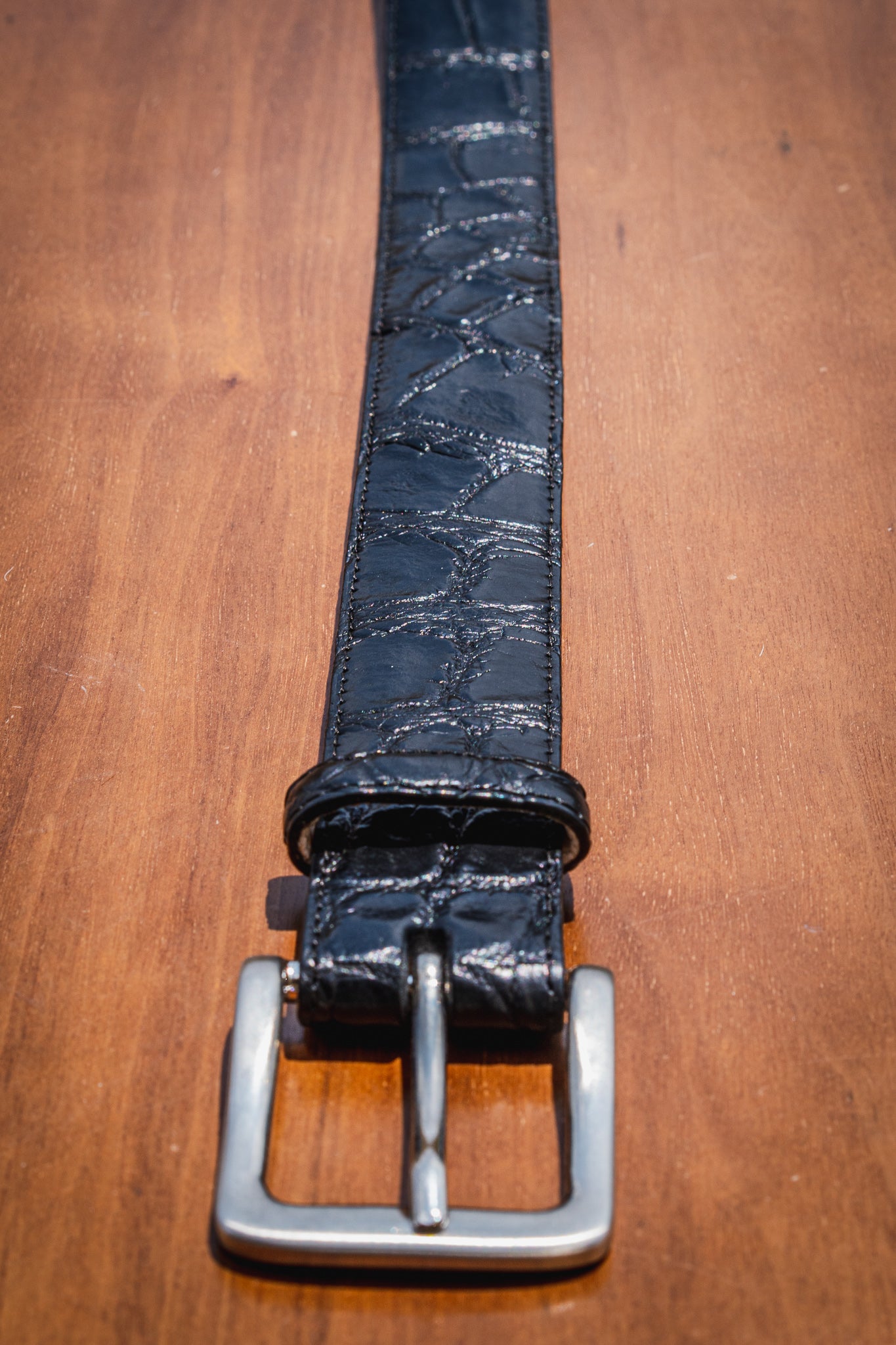 The Glades Belt - Alligator