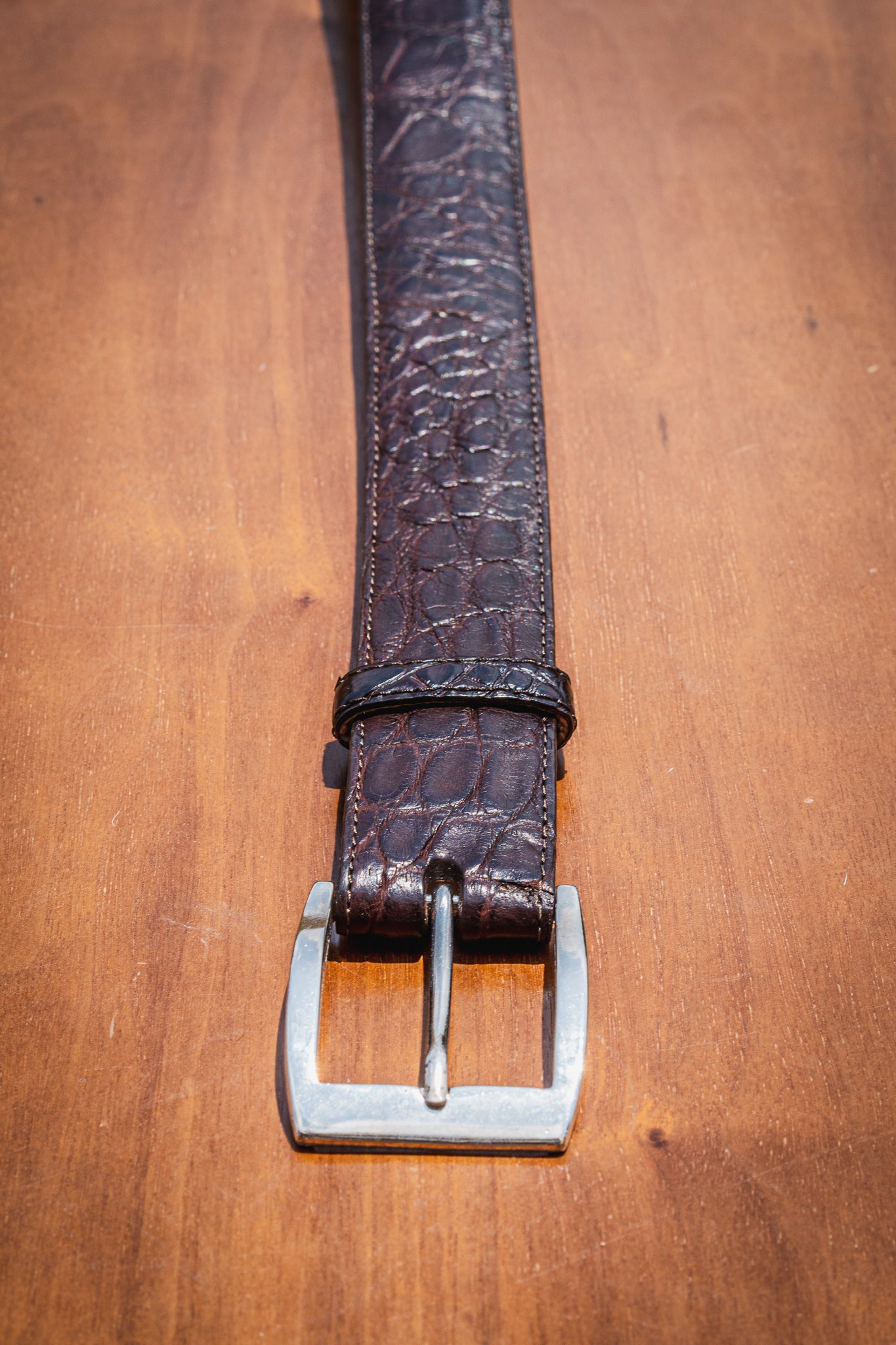 The Glades Belt - Alligator