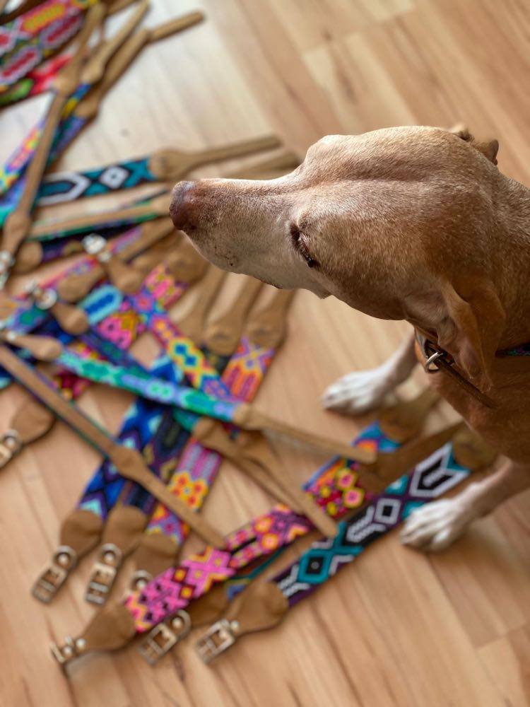 The Boozie Dog Collar Chiapas and Leather