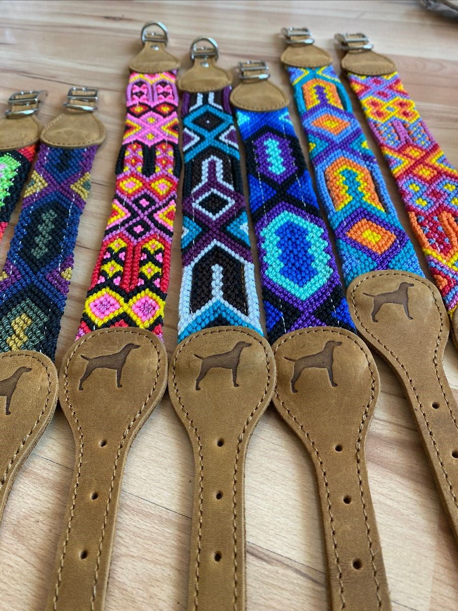 The Boozie Dog Collar Chiapas and Leather