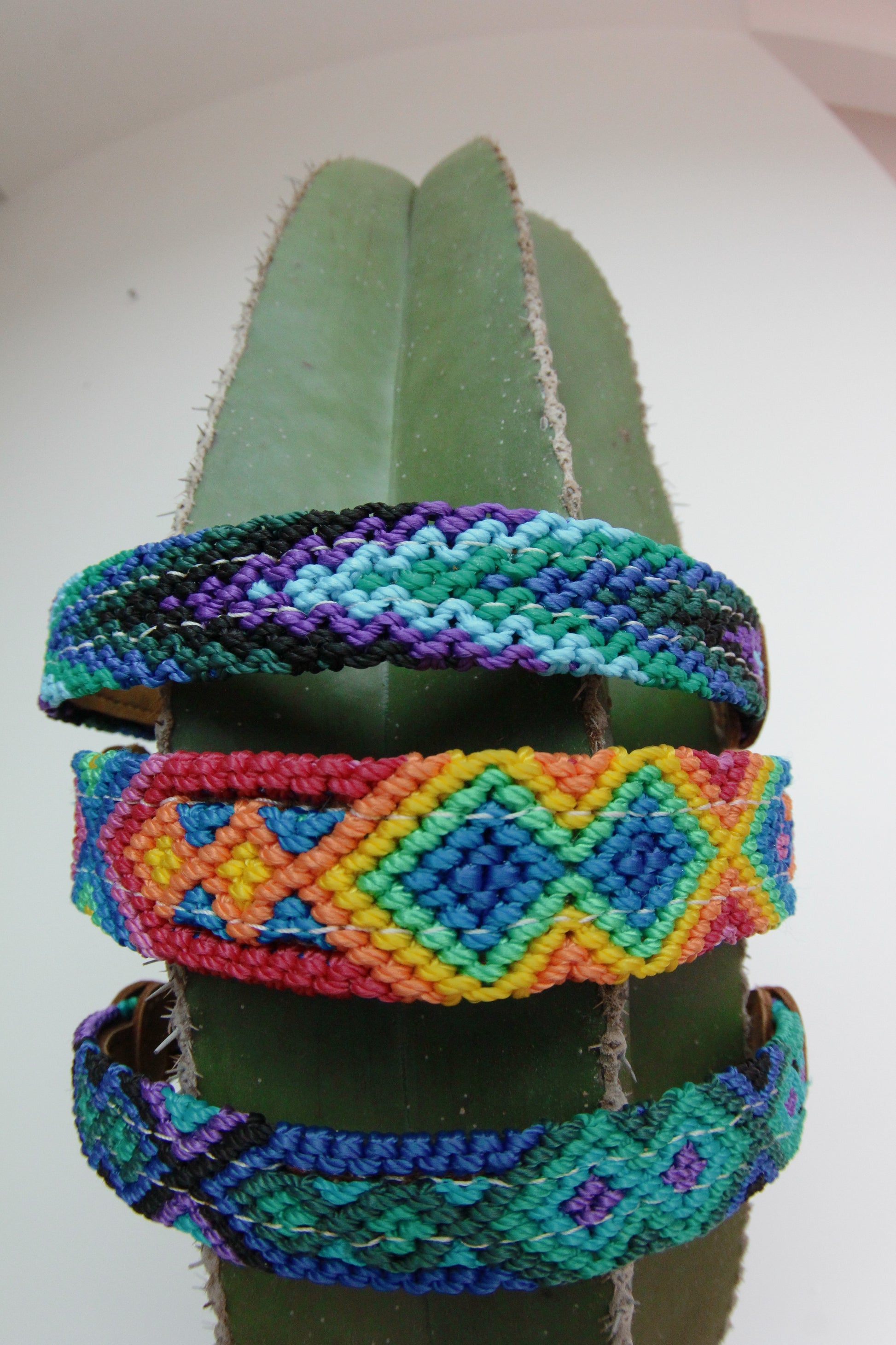 The Boozie Dog Collar Chiapas and Leather