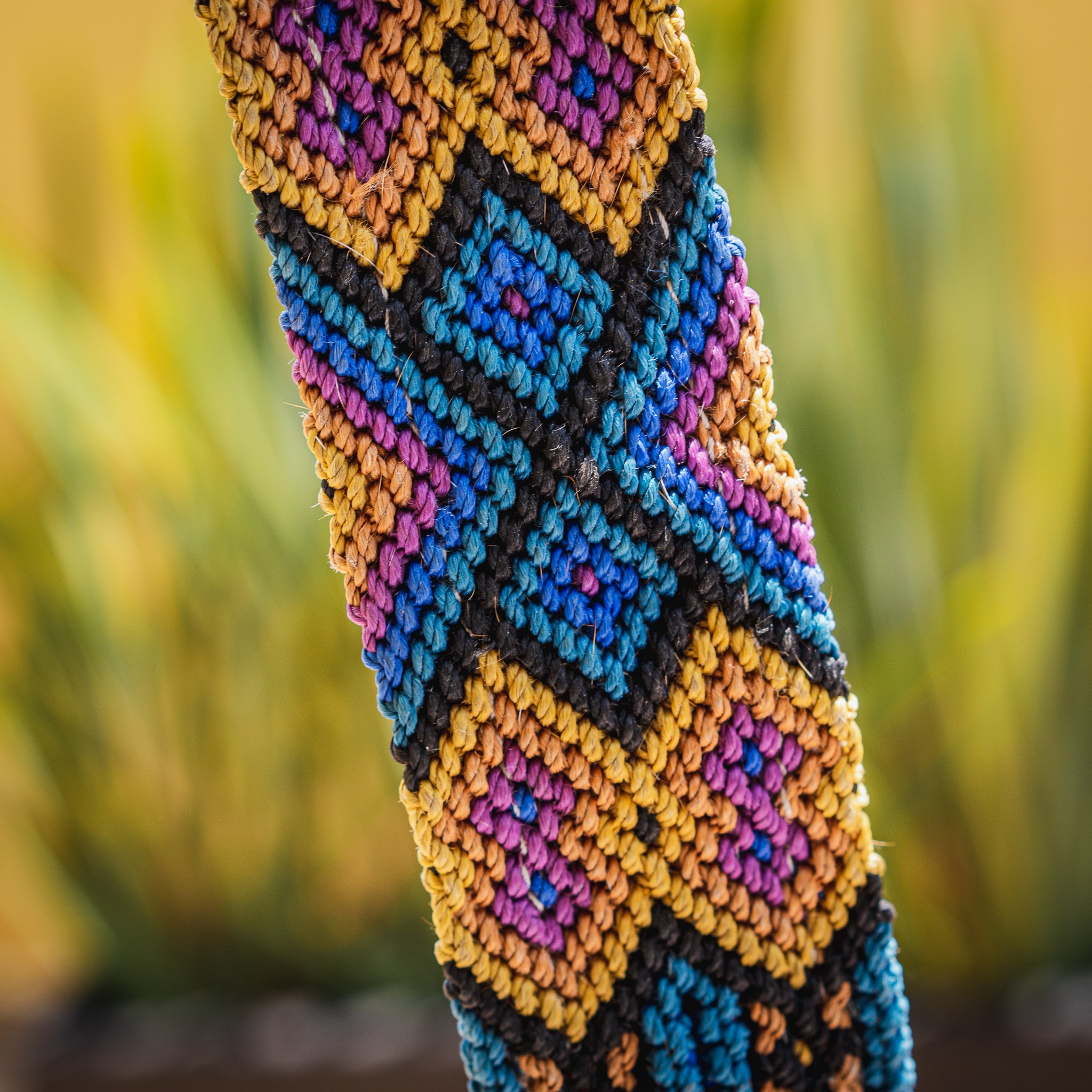 The Boozie Dog Collar Chiapas and Leather