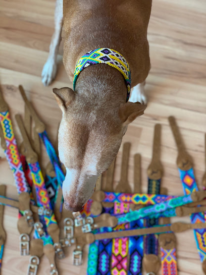 The Boozie Chiapas Dog Collar