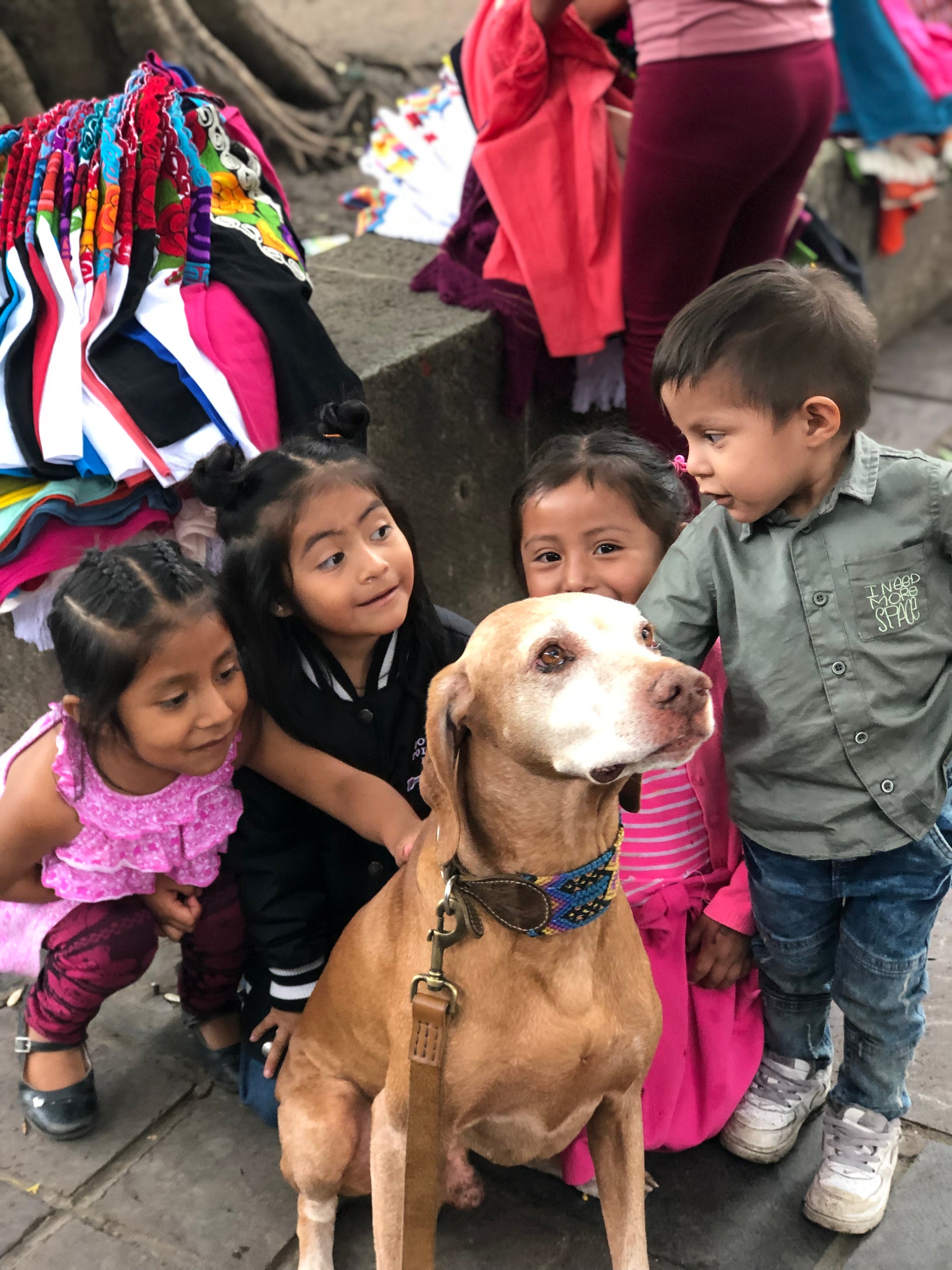The Boozie Dog Collar Chiapas and Leather