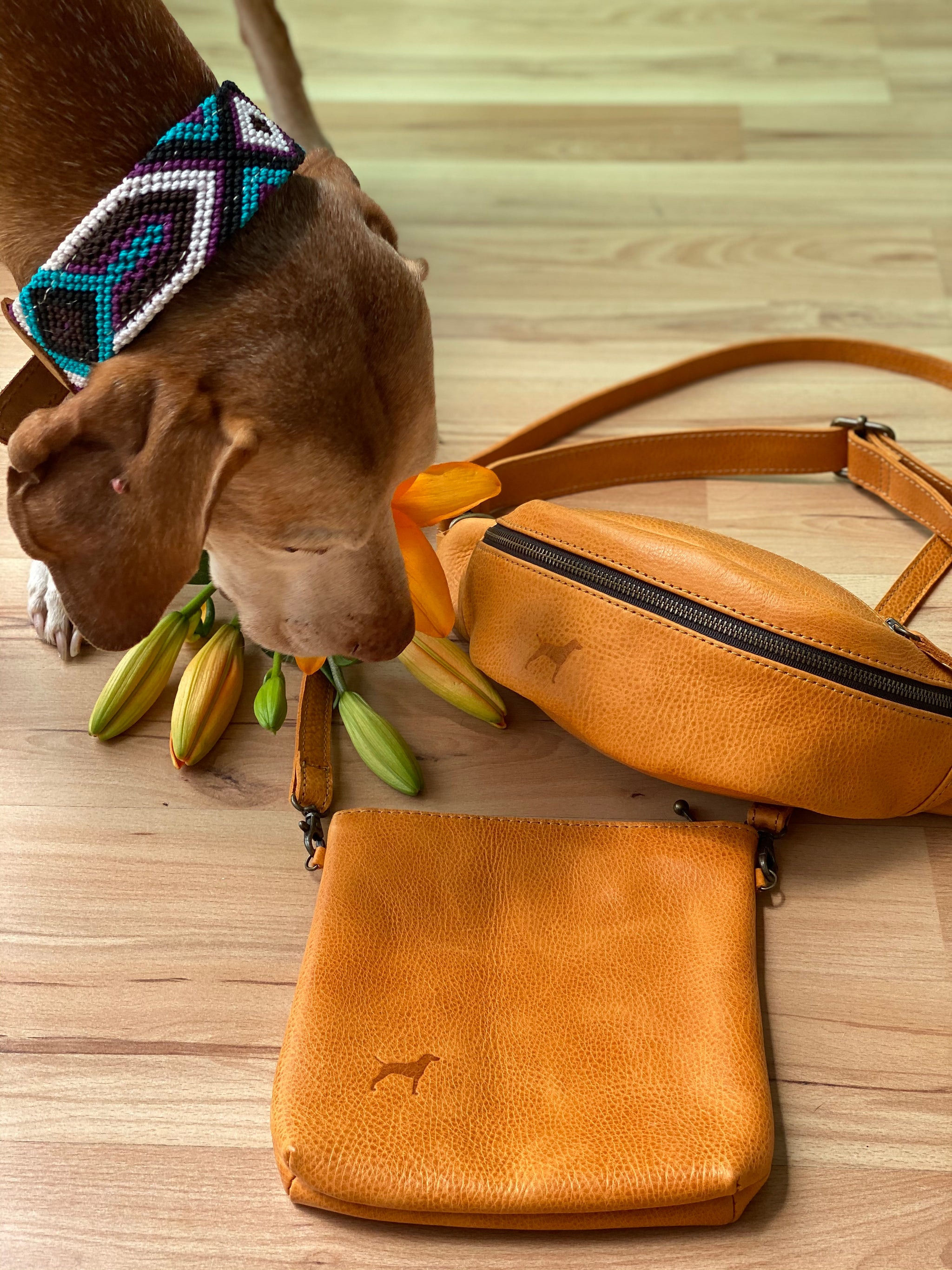 The Fanny Lu Pack - Boozie and Co