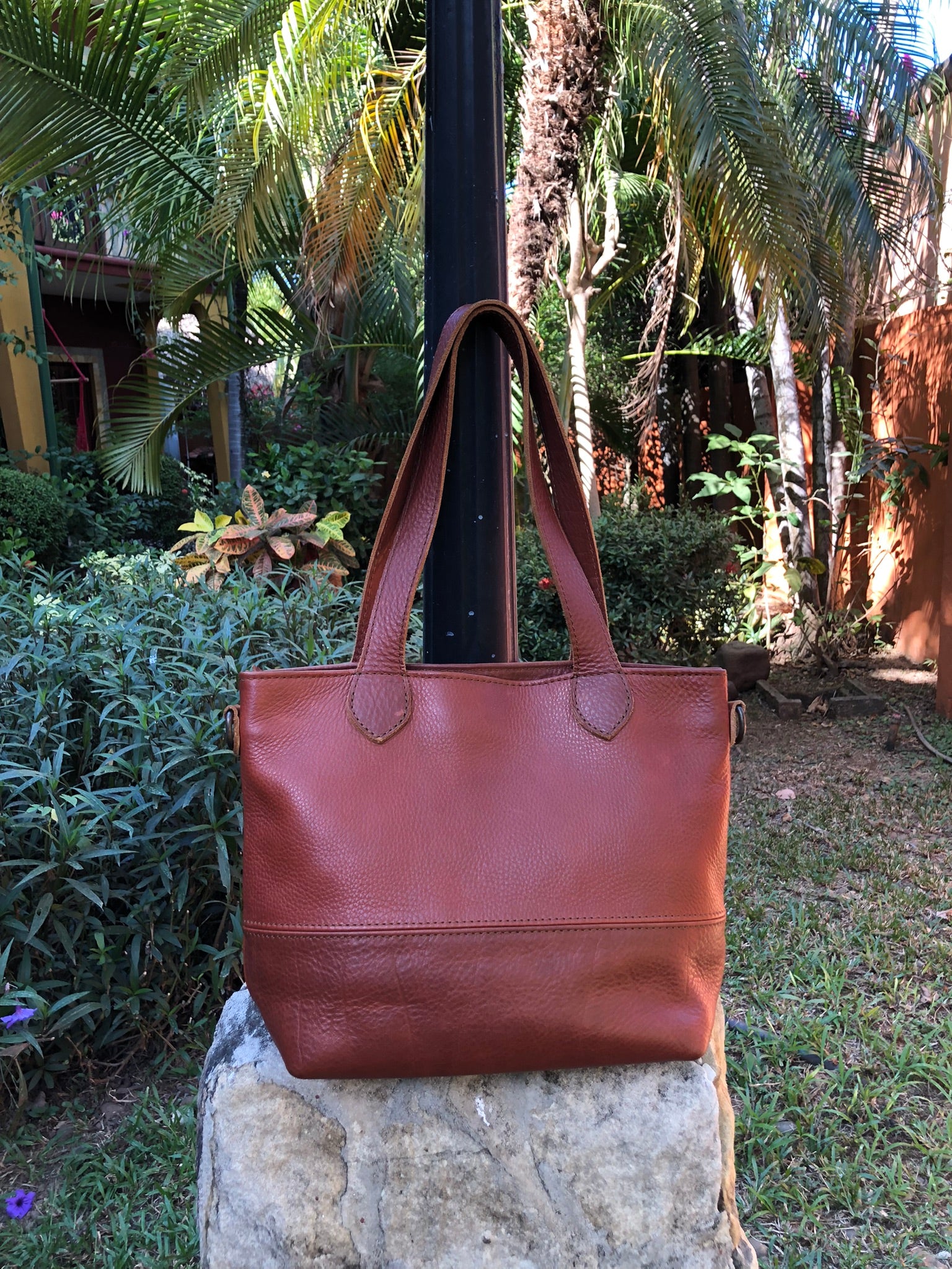 The Mini Texas Tote