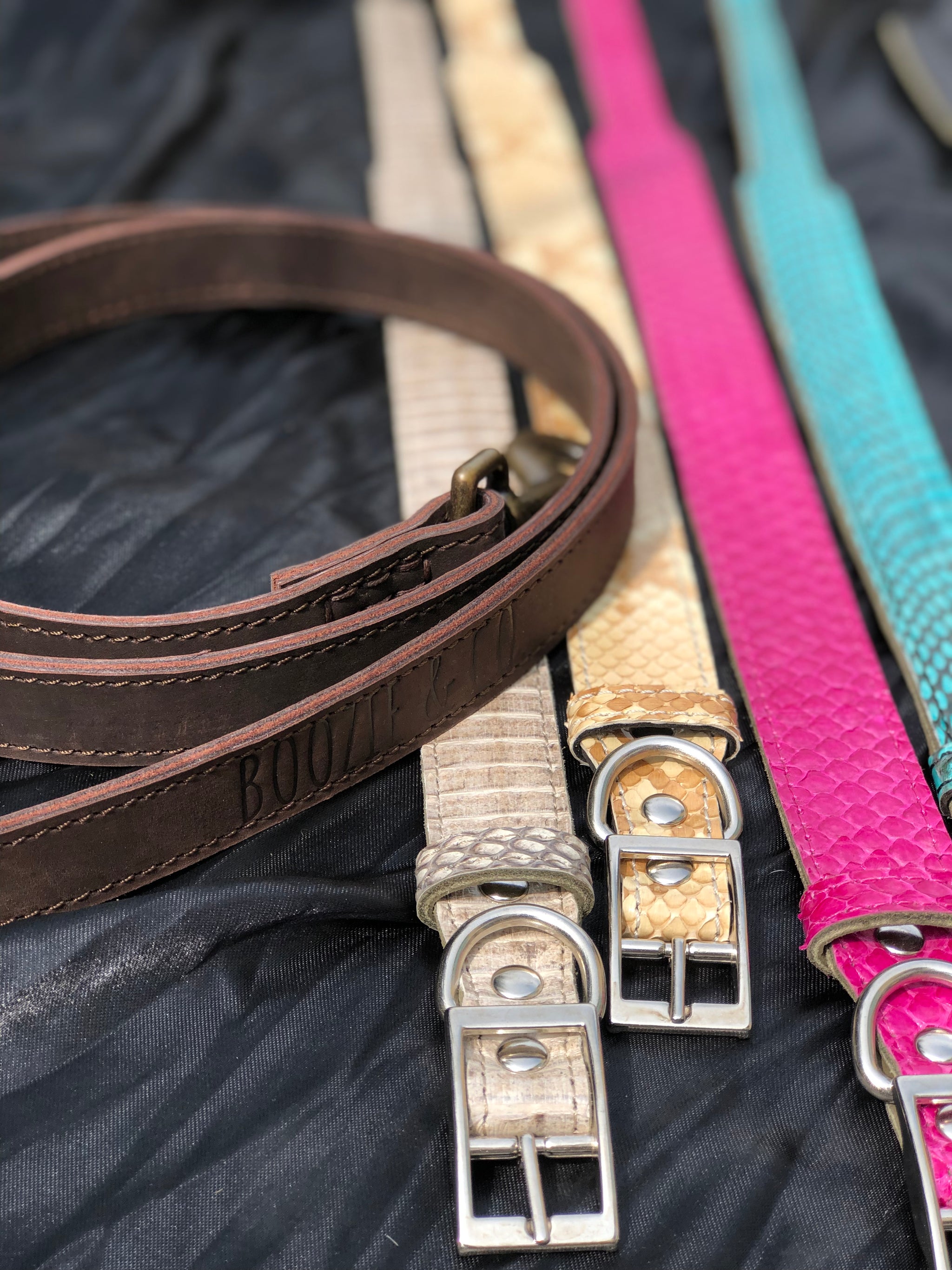 Boozie snakeskin python collar and leash